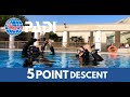 HOW TO perform a 5 POINT DESCENT | PADI SCUBA SKILLS