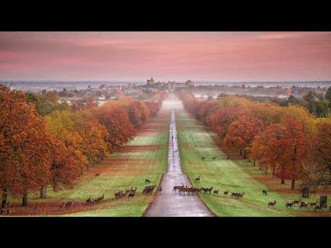 Ye tuneful Muses Z344 by Henry Purcell (Welcome Ode for James II 1686)