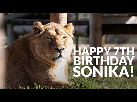 HAPPY BIRTHDAY Sonika!