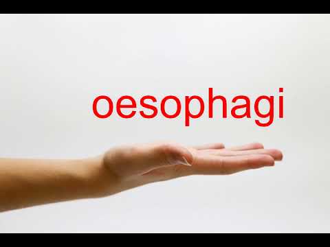 How to Pronounce oesophagi - American English