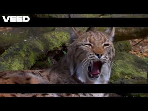 3May$un - Wake&BAKESkyLIN£Merge