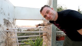 MASSIVE Indian PENTHOUSE Apartment Tour in Al Asbab Society | Ahmedabad, India