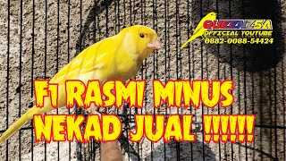Download lagu F1 RASMI MINUS NEKAD JUAL !!!!! mp3 Download lagu F1 RASMI MINUS NEKAD JUAL !!!!! mp3