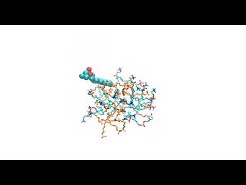 Lipid enters a pre-micelle in a Molecular Dynamics simulation