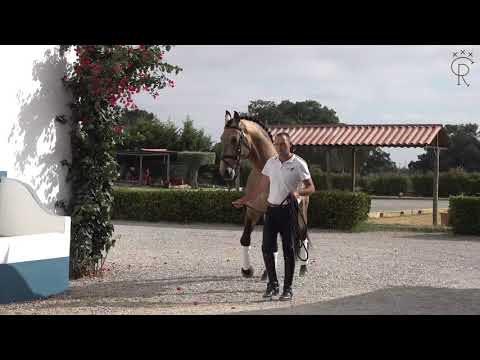 44 Coudelaria Casal dos Rios