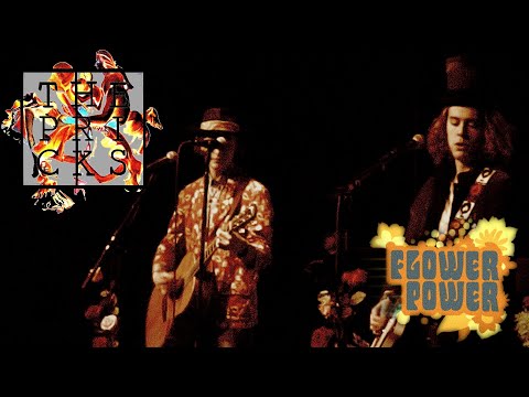 The Pricks - Metal Guru (T. Rex cover) Live at the Flower Power concert Marc Bolan