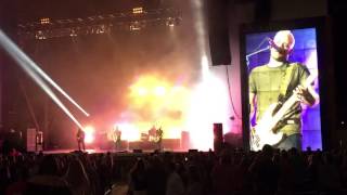 Mad Love Bush  5-6-17