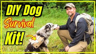 DIY Dog Hiking Kit: Build the Ultimate K9 hiking Bag & Harness!