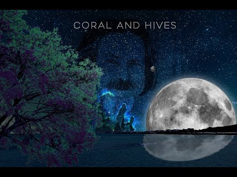 Small Fish - Coral and hives (Lyric video)