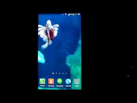 Aquarium Live Wallpaper 3 Free Video
