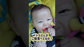 『初めての動物園🐯💕』#赤ちゃん＃赤ちゃん動画#癒し動画 #育児日記#子育て#動物園#動物園デビュー#ペンギン#トラ#ほっこり#可愛い#ベビー#育児あるある#baby#cute#animals