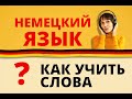 Как учить слова? 
