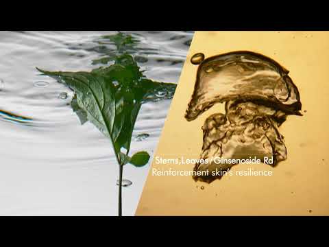 Sulwhasoo Concentrated Ginseng Renewing Serum