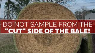 Forage and Hay sampling