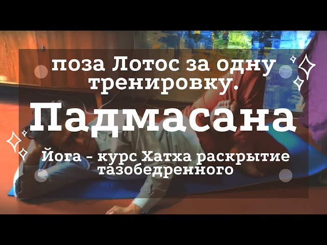 Фото Практика Лотоса