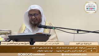 8 - نونية ابن القيم - الأبيات من ( 105 ) إلى ( 118 ) - الشيخ سعد بن شايم الحضيري image