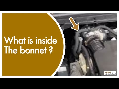 Show me questions under the bonnet.