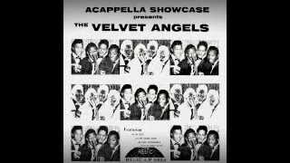 The Velvet Angels - 