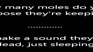 Melvins-history of bad men (lyrics)