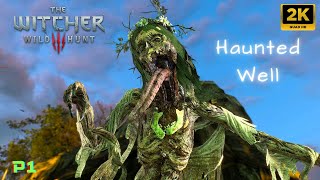 THE WITCHER 3: Wild Hunt - Contract: Devil by the Well. Part 1. [2K 60FPS PC]