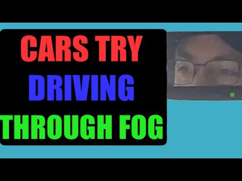 Cars try driving through fog | Life Lessons with Lewis