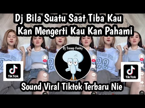 DJ BILA SUATU SAAT TIBA KAU KAN MENGERTI KAU KAN PAHAMI DJ KAU MENGAJARKAN KU MENGENAL CINTA FYP NIE