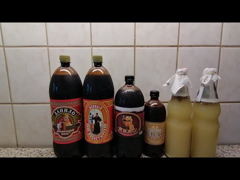 Kwas / Квас selber machen + Verkostung ( Russisches Nationalgetränk )