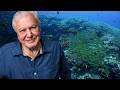 David Attenborough Explores Earth S Greatest Wonders 4K Documentary