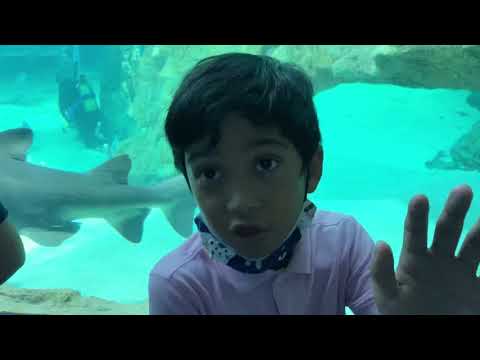 Pasando el día en Zoo Aquarium Madrid