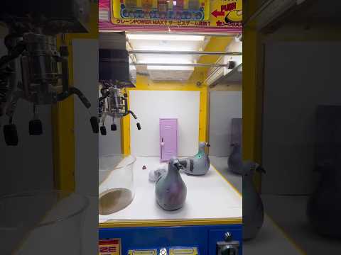 ロッカーの鍵を探し求めた結果ww #ネタ #shorts #クレーンゲーム #ufoキャッチャー #ゲーセン #自宅 #clawmachine #arcade