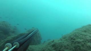 Katsionis Bros Pre-Winter Spearfishing  2015