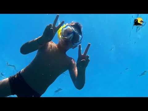 OASI BEACH Tours | Escursioni a Pan di zucchero e la costa delle miniere.