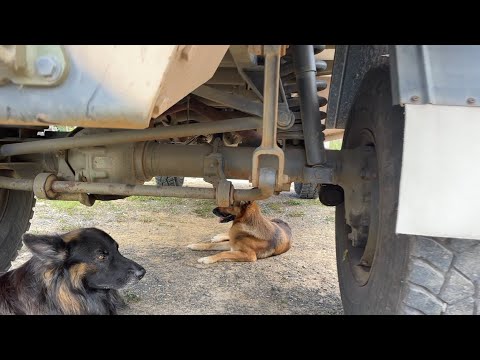 Ep2 Unimog Inspection - Jobs to Do - Plans for the Cabin - Building Expedition Vehicle - Motorhome