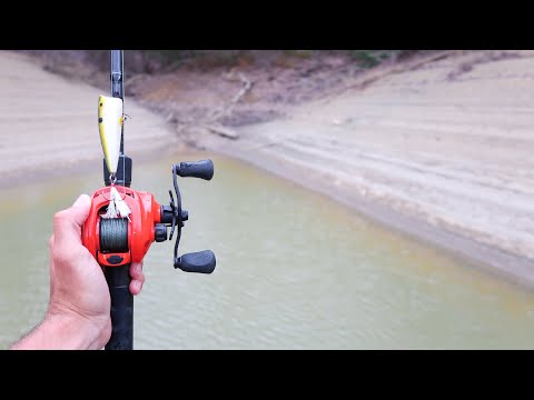 AGGRESSIVE Bass CRUSHES Topwater while Fishing (INSANE Blowups)