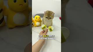 Download lagu Sepatu Baru Buat Si Bontot #shorts #kucing mp3 Download lagu Sepatu Baru Buat Si Bontot #shorts #kucing mp3