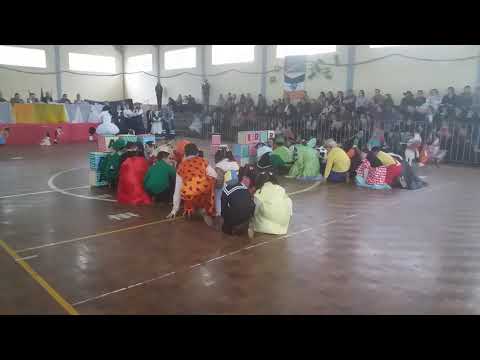 Mirim Moacyr enartinho 2019