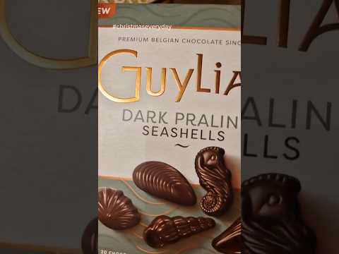 Making Hot Chocolate with Guylian Dark Praline Seashells 🐚 #shorts #christmaseveryday