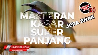 Download lagu 🔴 Cucak Cungkok Gacor Masteran Kasaran dan Panjang mp3 Download lagu 🔴 Cucak Cungkok Gacor Masteran Kasaran dan Panjang mp3
