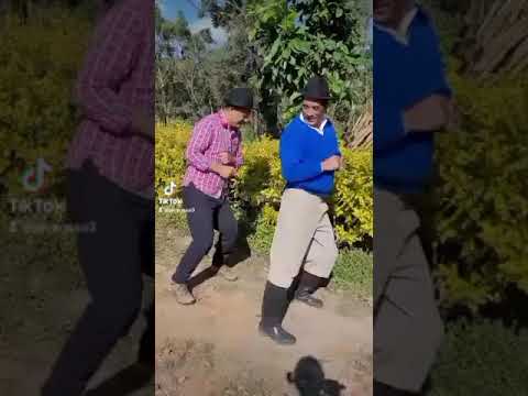 baile de fin de año