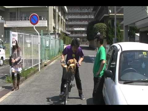 KY KING結婚式余興第8弾　キャラメルペッパーズ：ウエディングSONG