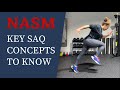 KEY SAQ CONCEPTS TO KNOW ACT7VE