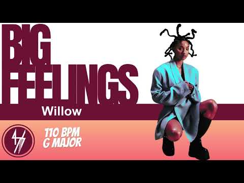 [INSTRUMENTAL] Willow - b i g f e e l i n g s