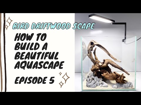HOW TO BUILD A BEAUTIFUL AQUASCAPE STEP BY STEP EPISODE 5 - BIRD DRIFTWOOD HARDSCAPE