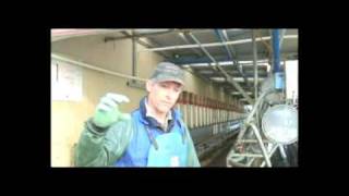 preview picture of video 'Cleaning milking cups on a NZ dairy farm'