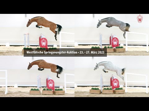 Westfälische Springyoungster-Auktion 23. - 27. März 2023