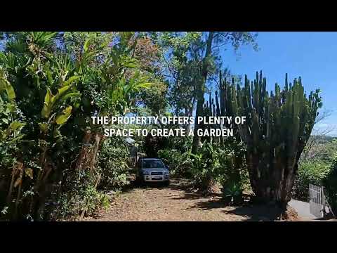 img-video
