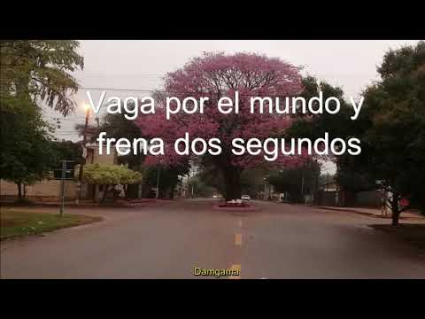 Planta Una Semilla video