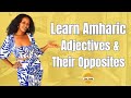 Learn important Amharic adjectives with their opposites, colors, and Amharic phrases | Ethiopia