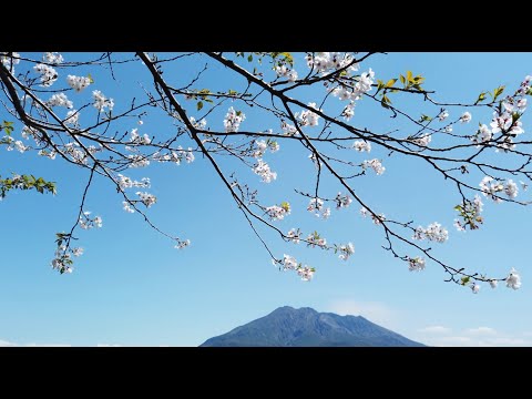 Kyushu Southern Japan Last Samurai Saigo Takamori Adventures - Part 3