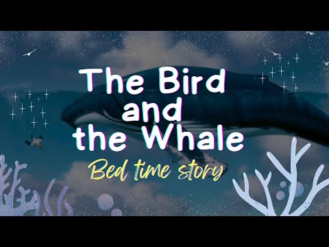 The Bird and the Whale | 🌜Bedtime Stories for Babies & Kids | 🌈English🌟